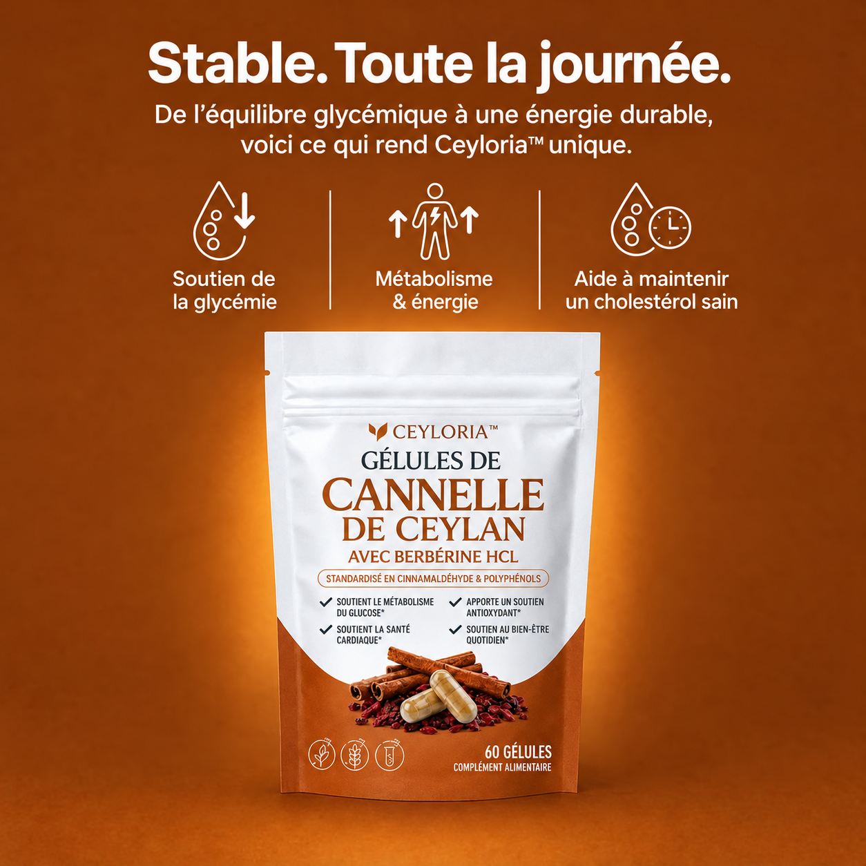 Gélules de cannelle de Ceylan Ceyloria — stable, toute la journée